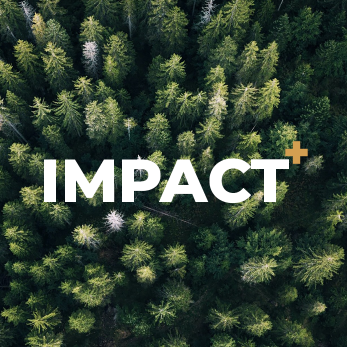 Hardrige, Journal - Actualités, Actualité - Projet Impact avec My Tree